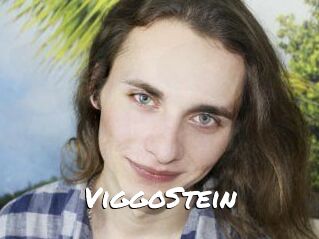 ViggoStein