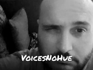 VoicesNoHue