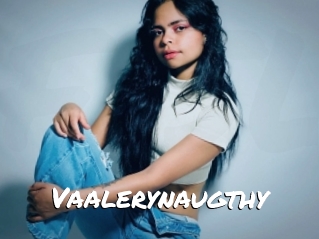 Vaalerynaugthy