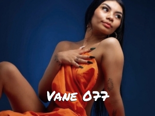 Vane_077