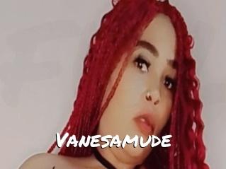 Vanesamude