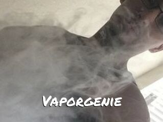 Vapor_genie