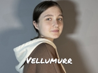 Vellumurr