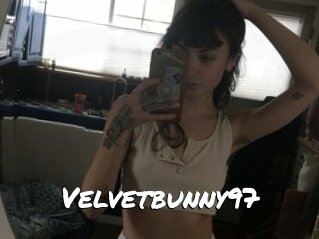 Velvetbunny97