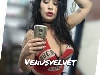 Venusvelvet