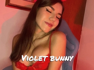 Violet_bunny