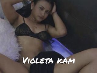 Violeta_kam