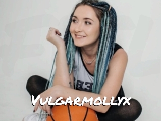 Vulgarmollyx