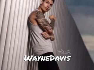 WayneDavis