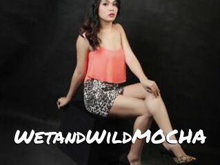 WetandWildMOCHA