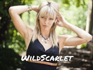 WildScarlet