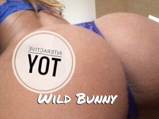 Wild_Bunny_