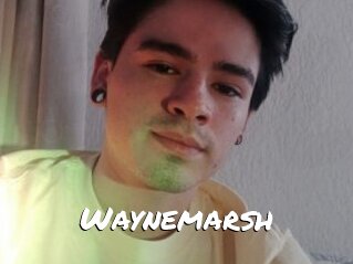 Waynemarsh