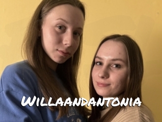 Willaandantonia