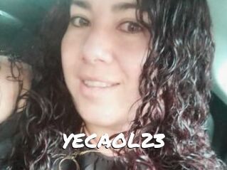 YECAOL23