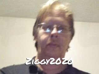 Ziggy2020