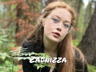 Zadnizza