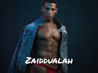 Zaiddualah